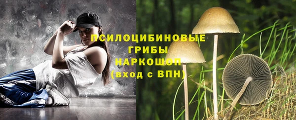 спиды Арсеньев