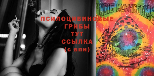 спиды Арсеньев
